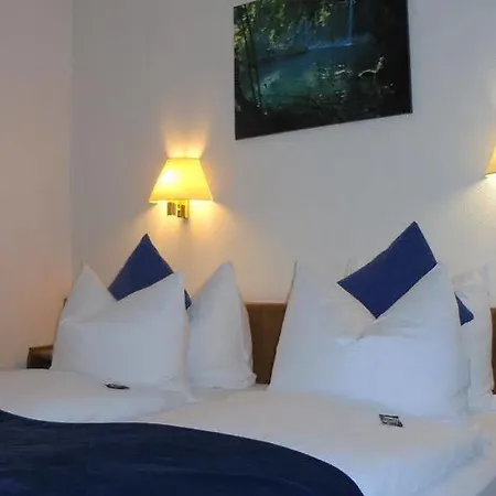 Hotel Paulin Tréveris
