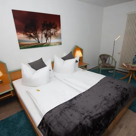 Hotel Paulin Hotel Trier